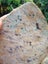 Fuchsite in Marble carving slab MAY DEALS $1 reserve Carousel 8