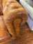Genuine Leather Chesterfield Two Seater Couch Carousel 5