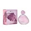 Dupe for Ariana Grande Mod Blush - Max Blush 100mL EDP Carousel 1