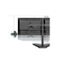 Monitor Arm Stand Dual Black Carousel 5