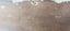 Recycled Rimu slab 1400mm x 215mm x 70mm Carousel 6
