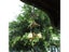 Wind Chimes Carousel 7