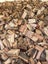 $1 RESERVE 1m3 HOTMIX FIREWOOD Carousel 2