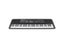 61 Keys Electronic Keyboard Piano With Microphone For Children's Musical Carousel 4