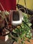 Aquarium/ Fish Tank and accessories Carousel 4