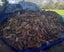 Firewood 2 cu mtrs Hot mix Carousel 3