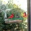 Clear Window Bird Feeder Carousel 3