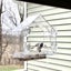 Acrylic Window Bird Feeder Carousel 4
