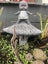 Articulated concrete kewpie doll teacup mushroom garden art Carousel 8