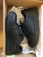 Leather Shoes Hush Puppies (Spin) Size US7.5 Carousel 3