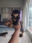 Purebred Rottweilers puppies Carousel 3