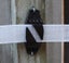 Loading Image 1 of 2