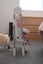 Babyco high chair pink Carousel 3