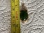 9ct gold pounamu/greenstone pendant Carousel 4