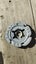 Lighting L-Drago 100HF & Launcher | TAKARA TOMY Metalfusion Metalfight Beyblade Carousel 6
