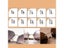 Eyeglass Sunglass Repair Kit With Screws Tools Carousel 5