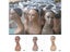 Female PVC Mannequin Head Sale For Wig Jewelry And Hat Display Carousel 6
