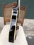 Brand New Fender Acoustic Electric Mandolin Carousel 6