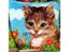 New Cat Giraffe Dog Series Latch Hook Mat Kits Embroidery DIY Button Pad Carousel 7