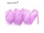 5Yards 25mm Mesh Lace Trim Ribbon For DIY Wedding Decor P0515 Carousel 1