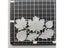 Leaves Plant Metal Cutting Dies For DIY Crafts Carousel 4