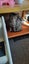 2 x brown tabby 10 -14 week old kittens Carousel 6