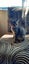 2 x brown tabby 10 -14 week old kittens Carousel 8