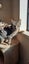 2 x brown tabby 10 -14 week old kittens Carousel 12