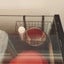 Guinea pig or hamster inside enclosure Carousel 3