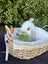 Alta Mini lops Carousel 9