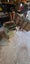 Thicknesser/planer over under Carousel 8