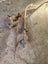 Hot water cylinder Carousel 4