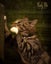 CAT RESCUE CHRISTCHURCH - Ready for Adoption - Leo Carousel 2