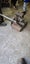 Vintage atco mower Carousel 3