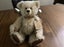 Robin Rive Robbie Bear Carousel 3