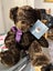 Chocolate Bear by RUSS Carousel 1
