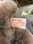 Bear Hugs Bear by RUSS Carousel 2