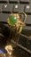 Lucky dark Jade vintage cocktail ring 9ct gold. Carousel 8