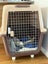 X-Large Airline Travel Cage/Carrier/Crate 99cm Wheeled Air NZ with Bowl Carousel 5