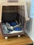 X-Large Airline Travel Cage/Carrier/Crate 99cm Wheeled Air NZ with Bowl Carousel 2