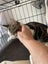 Darcy Male kitten Desexed Carousel 7