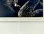 NZ Artist Vivian Ward Surrealist Mezzotint / Etching "Swan Song". Carousel 4