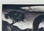 NZ Artist Vivian Ward Surrealist Mezzotint / Etching "Swan Song". Carousel 3