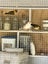 Cuban finch Carousel 2