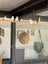 Zebra finches Carousel 1