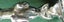 AWESOME Extremely RARE Leaping JAGUAR Sports Car DEALERSHIP Advertising Ashtray Carousel 6