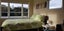 gallery view thumbnail