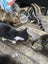 Barn and house cats Carousel 1