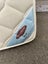 Grotime Legacy 4 in 1 cot and mattress Carousel 13