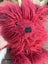 Willow Teddy Bears Carousel 3